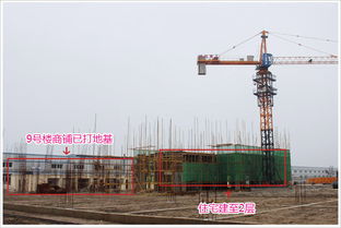 德系品质筑就时代标杆 时代天骄3月最新工程进度全面解读