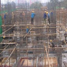 浙江泰莱建设 筑就精品工程，引领建筑行业新标杆